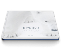 80° Nord